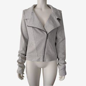 Seven Sisters Gray Striped Knit Cotton Blend Asymmetric Moto Jacket